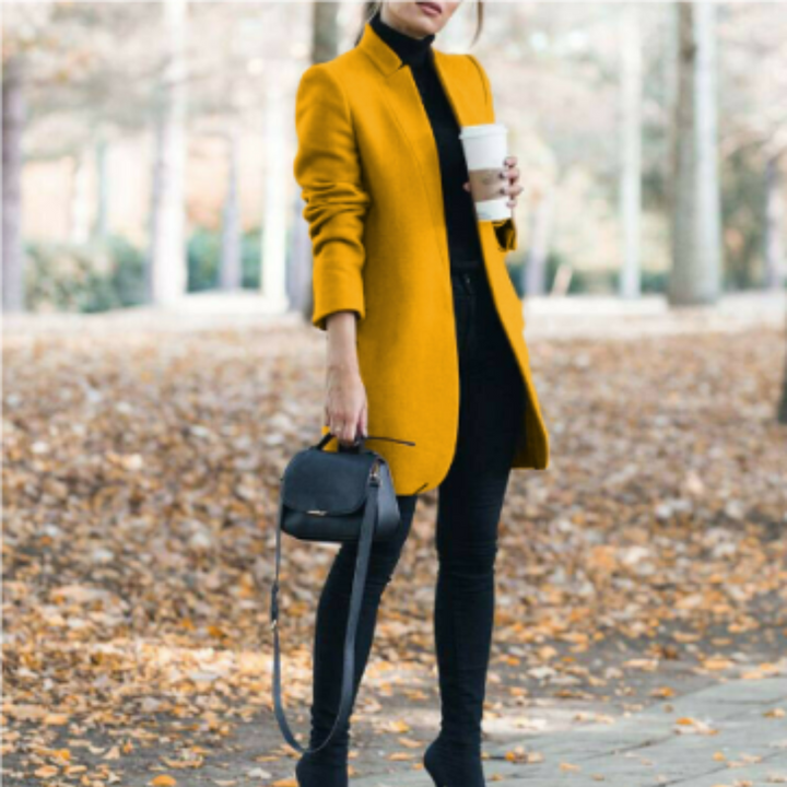 Damen Stehkragen Wintermantel mit zeitlosem Design – Reginel