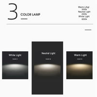 Japanischer Stil LED-Deckenleuchte – Renji
