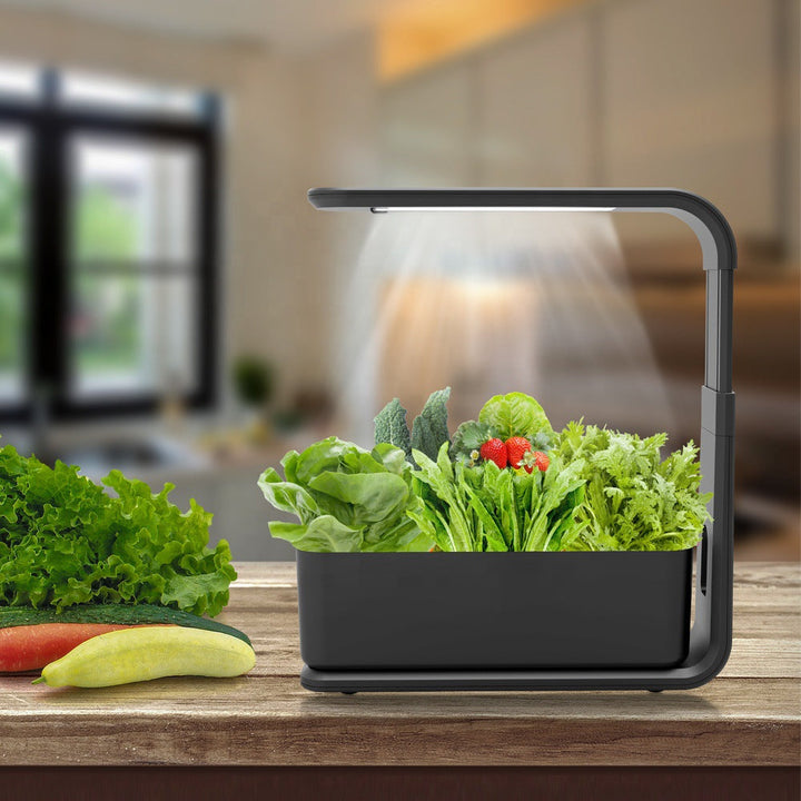 Intelligentes Hydroponisches Pflanzensystem für den Innenbereich – GreenBloom Hydro