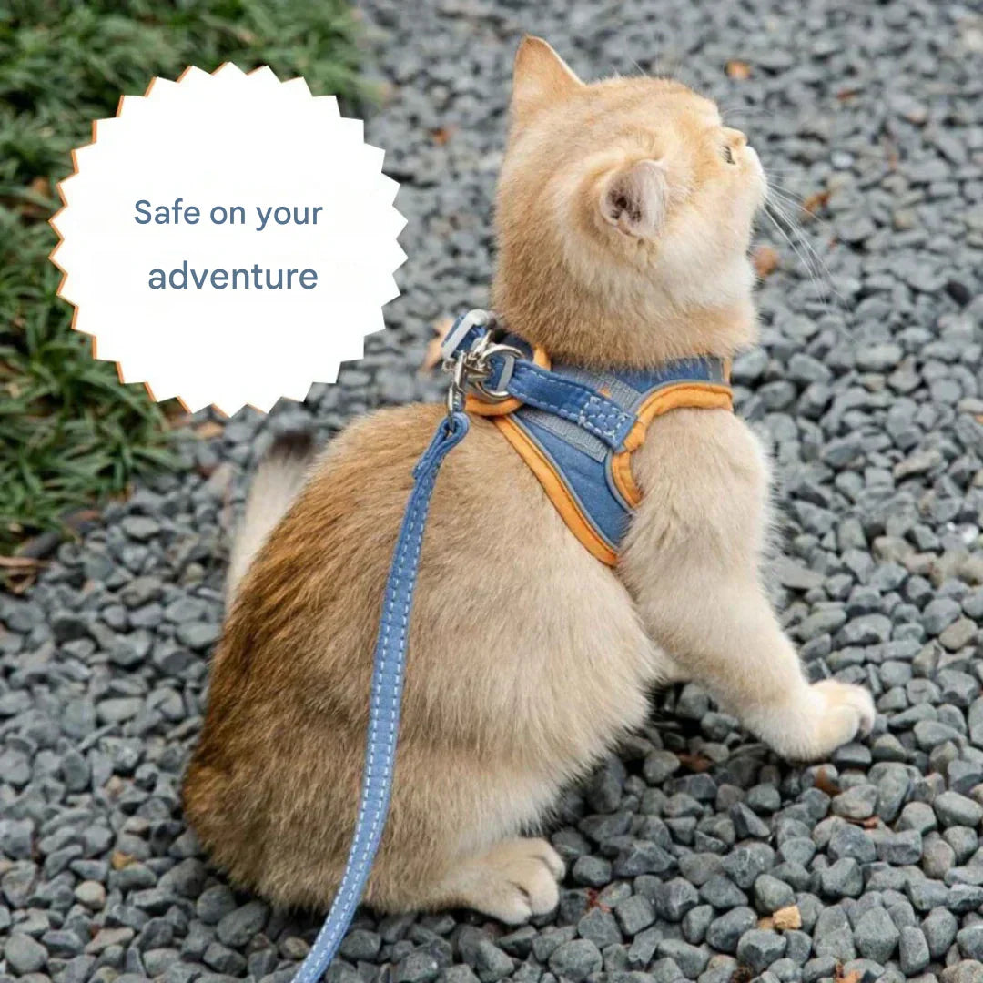 Verstellbares Katzengeschirr mit Leine – WhiskerWander