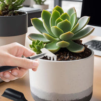 12-in-1 Sukkulententools Set mit Aufbewahrungstasche für die Innenraumbegrünung