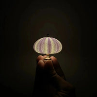DIY Seeigel Nachtlicht - LumiUrchin