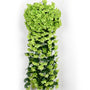 Kunst Orchideen Cascade (90 cm) - Amélie