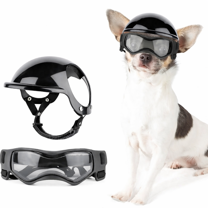 Hundehilfe und Brille - RiderPaw