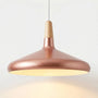 Conical Pendant Light -  Lumella