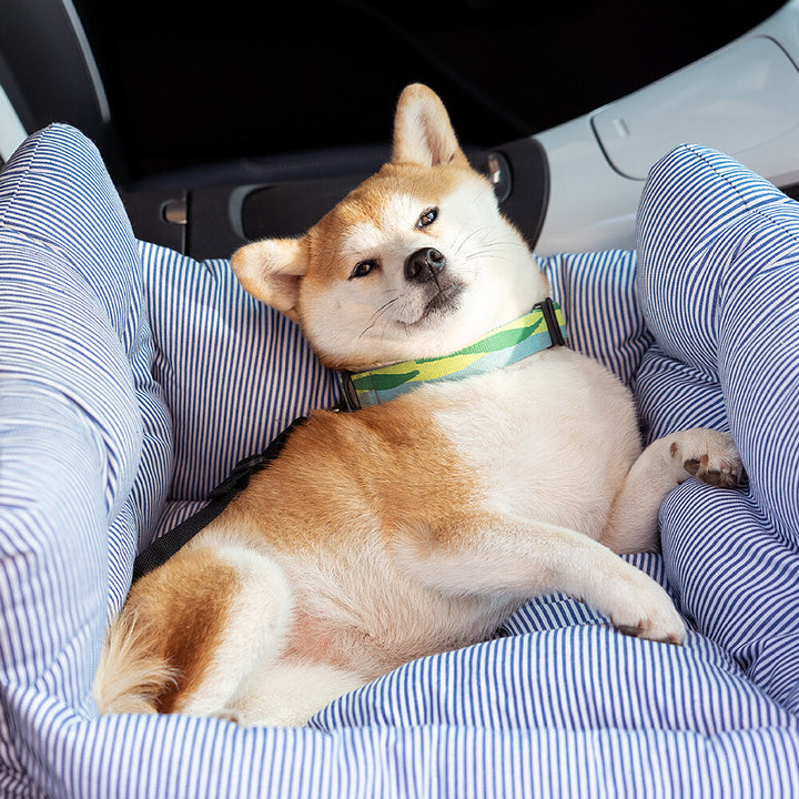 Bequeme Hundenest für das Auto - TravelPaw