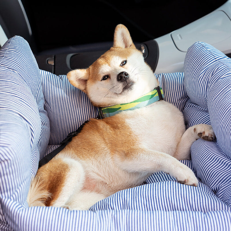 Bequeme Hundenest für das Auto - TravelPaw