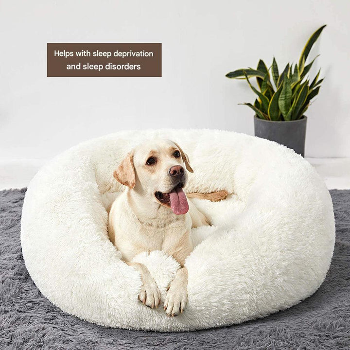Beruhigendes Hundekissen - Snoozy