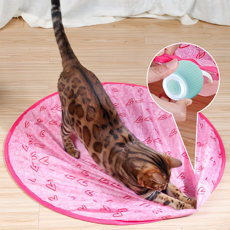 Interaktives Bewegliches Spielzeug für Katzen – WhiskRoll