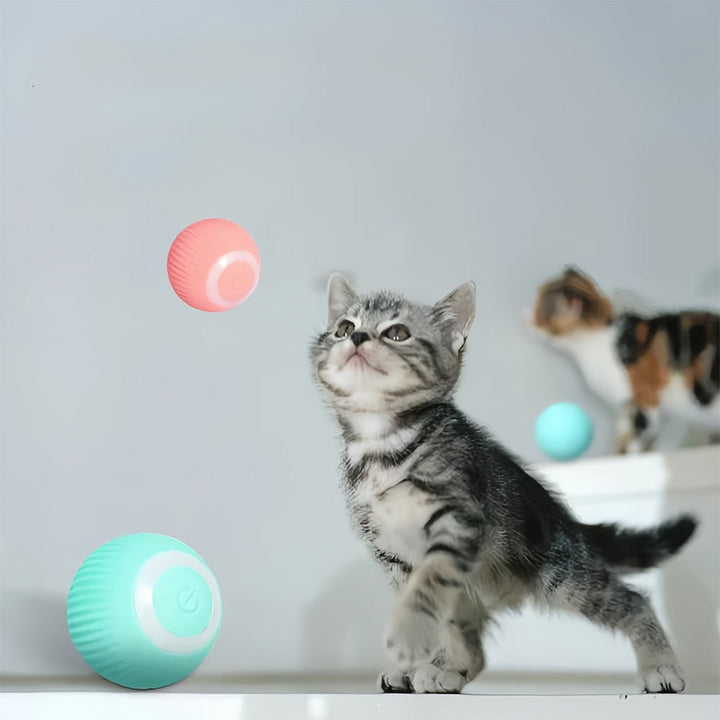 Interaktives Bewegliches Spielzeug für Katzen – WhiskRoll