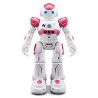 Interaktive Bildungsroboter - NovaBot
