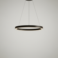 Hängeleuchte Mit LED - SkyRing 
