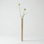 Hangende Wandvaas In Strak Modern Ontwerp - WallGreen