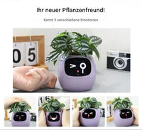Automatischer Smart-Blumentopf – GreenBuddy SmartPot