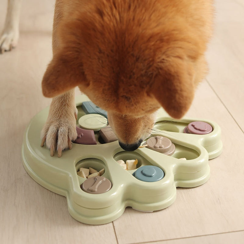 Denksport Hundetrainer - MindMaze