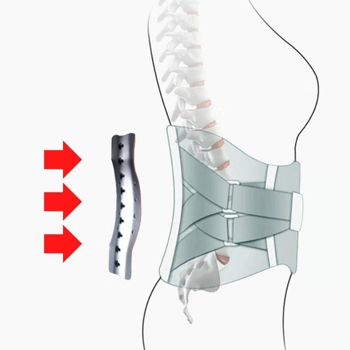 Lumbale Rückenstütze – Thijmen