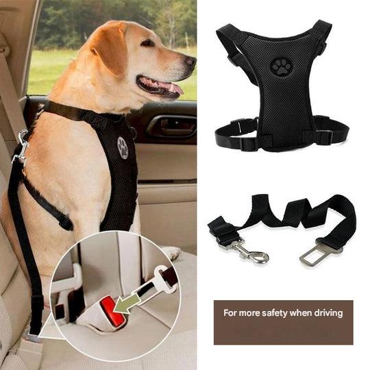 Autogurt mit bequemen Brustgeschirr für Hunde - PawSafe