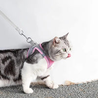 Verstellbares Katzengeschirr mit Leine – WhiskerWander