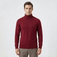 Schmal Geschnittener Rollkragen Sweater - Toni