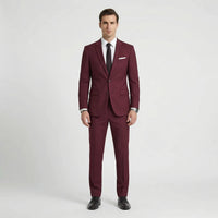 Slim Fit Anzug Herren - Noel