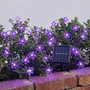 Solarlichterkette Draußen - Blossomray