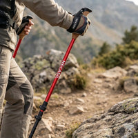 Teleskop-Trekkingstöcke Im Set -  Alpenvex
