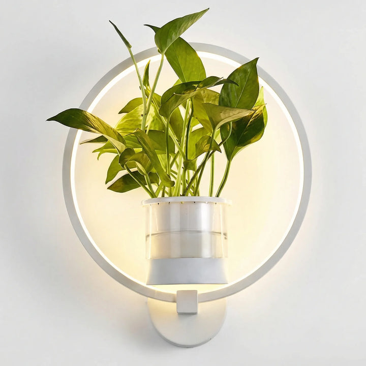 Wandleuchte Mit Pflanzenhalter - Luminflora