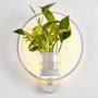 Wandleuchte Mit Pflanzenhalter - Luminflora