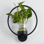 Wandleuchte Mit Pflanzenhalter - Luminflora