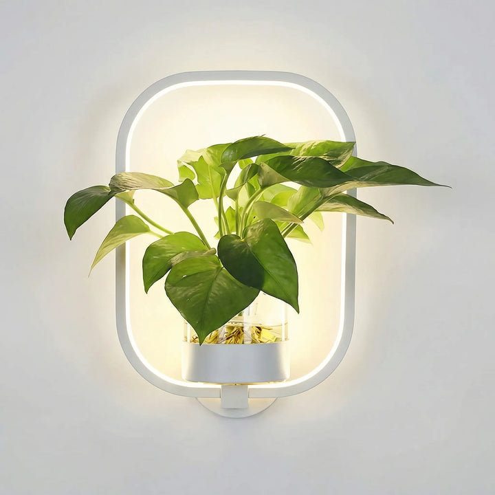 Wandleuchte Mit Pflanzenhalter - Luminflora