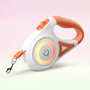 Leuchtende Hundeleine mit Taschenlampe – GlowGuard