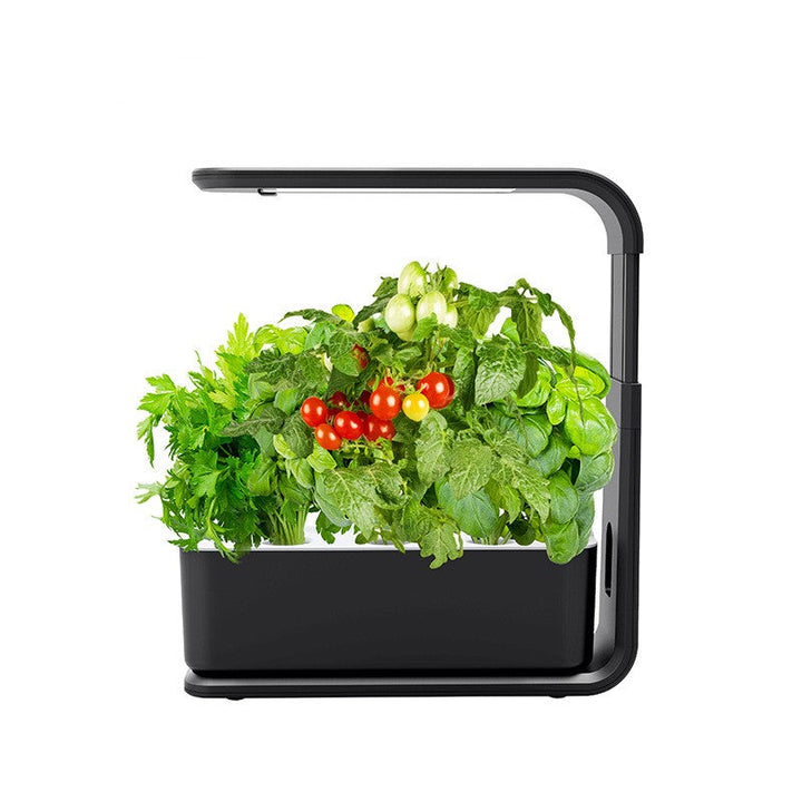 Intelligentes Hydroponisches Pflanzensystem für den Innenbereich – GreenBloom Hydro