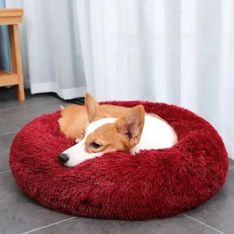 Beruhigendes Anti-Stress Hundekissen – Nuvio