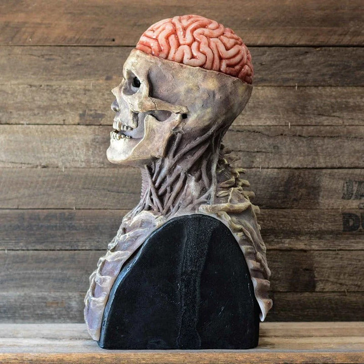 Schädel-Büste mit sichtbarem Gehirn, anatomisches Modell, realistisch, Dekoration, Holzoptik.