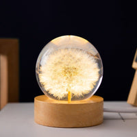 Kristallkugel Lampe mit ewigen Blumen – Lumora