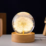 Kristallkugel Lampe mit ewigen Blumen – Lumora