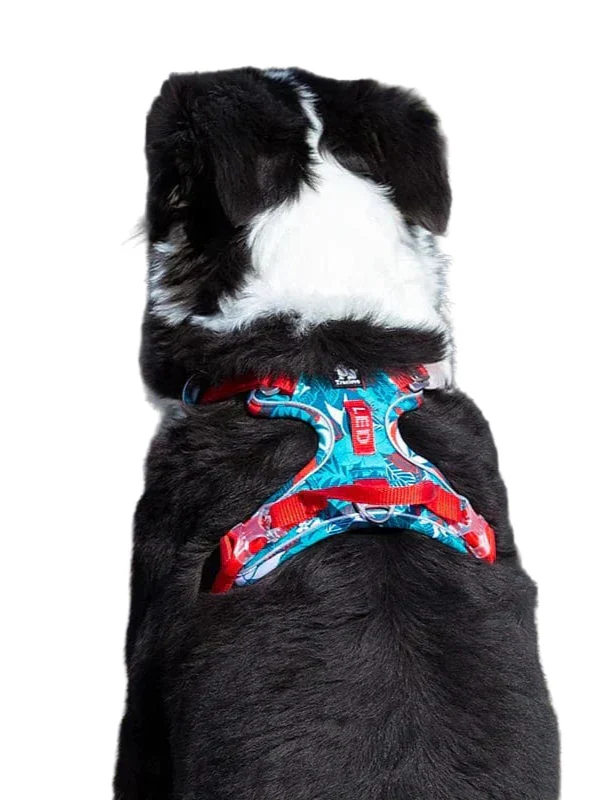 Komfortables & Strapazierfähiges Hunde-Geschirr – Vendo
