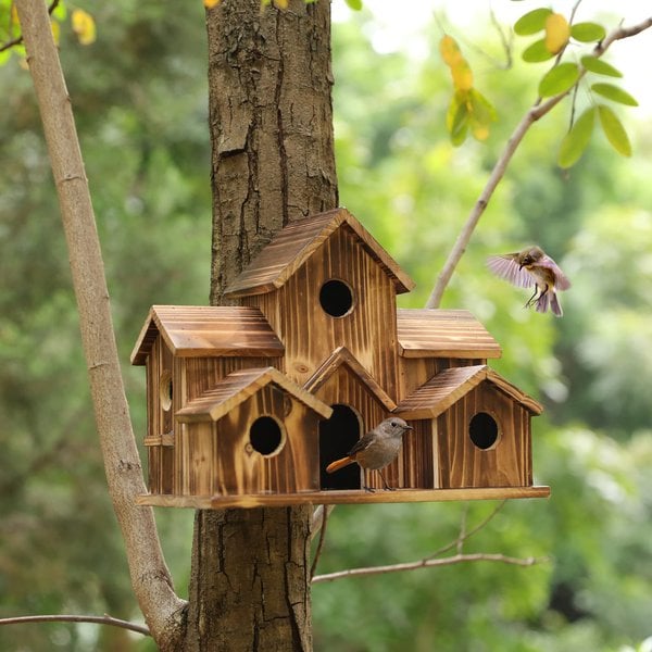 Funktionelles Holz-Nistkastenhaus für Gartenvögel – Nestora