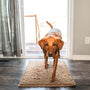 Super absobierende Hundematte – PawMat