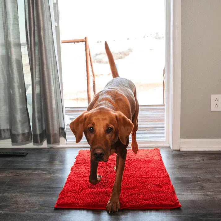 Super absobierende Hundematte – PawMat