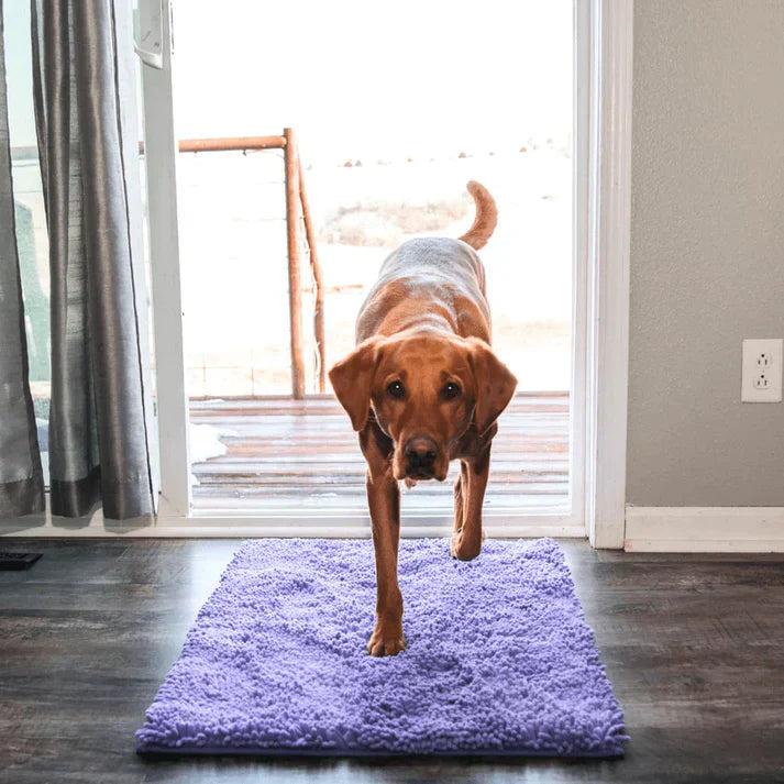 Super absobierende Hundematte – PawMat
