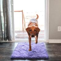 Super absobierende Hundematte – PawMat
